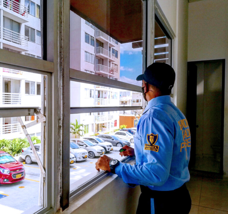 SERVICIOS-3-768x722 SERVICIOS-3-768x722